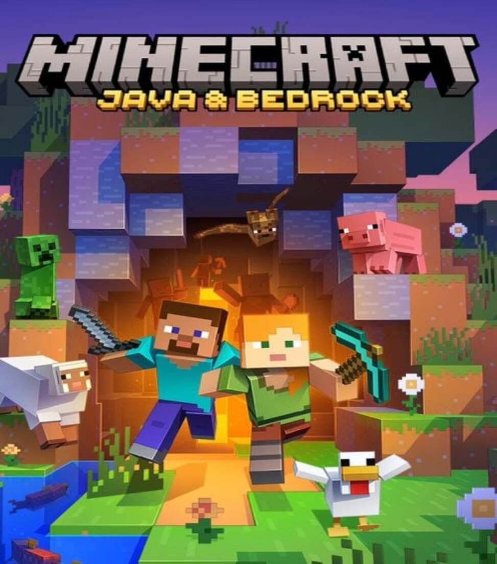 Minecraft image pour des serveurs performant!